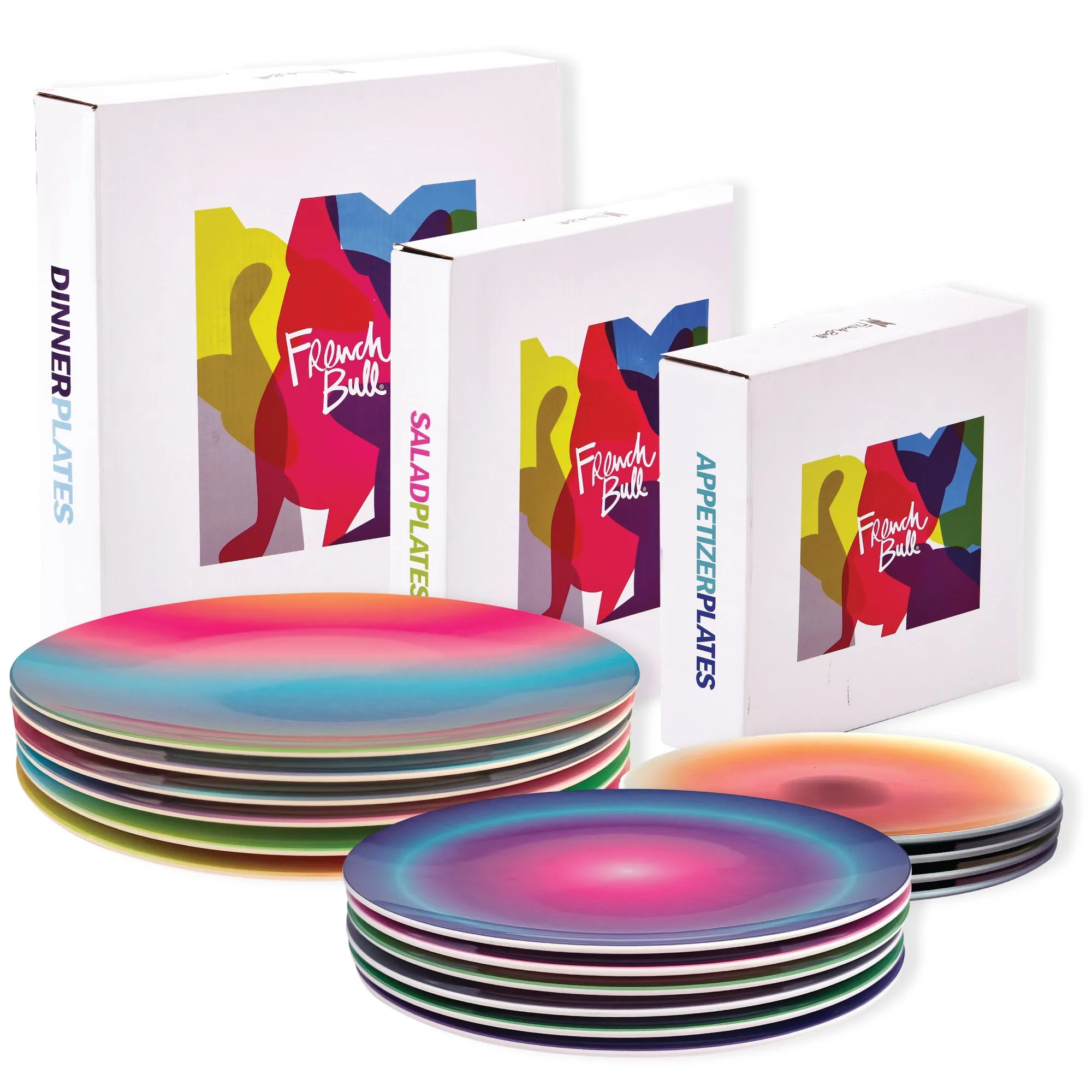 Aurora 6-Piece Assorted Dinner Plate Set