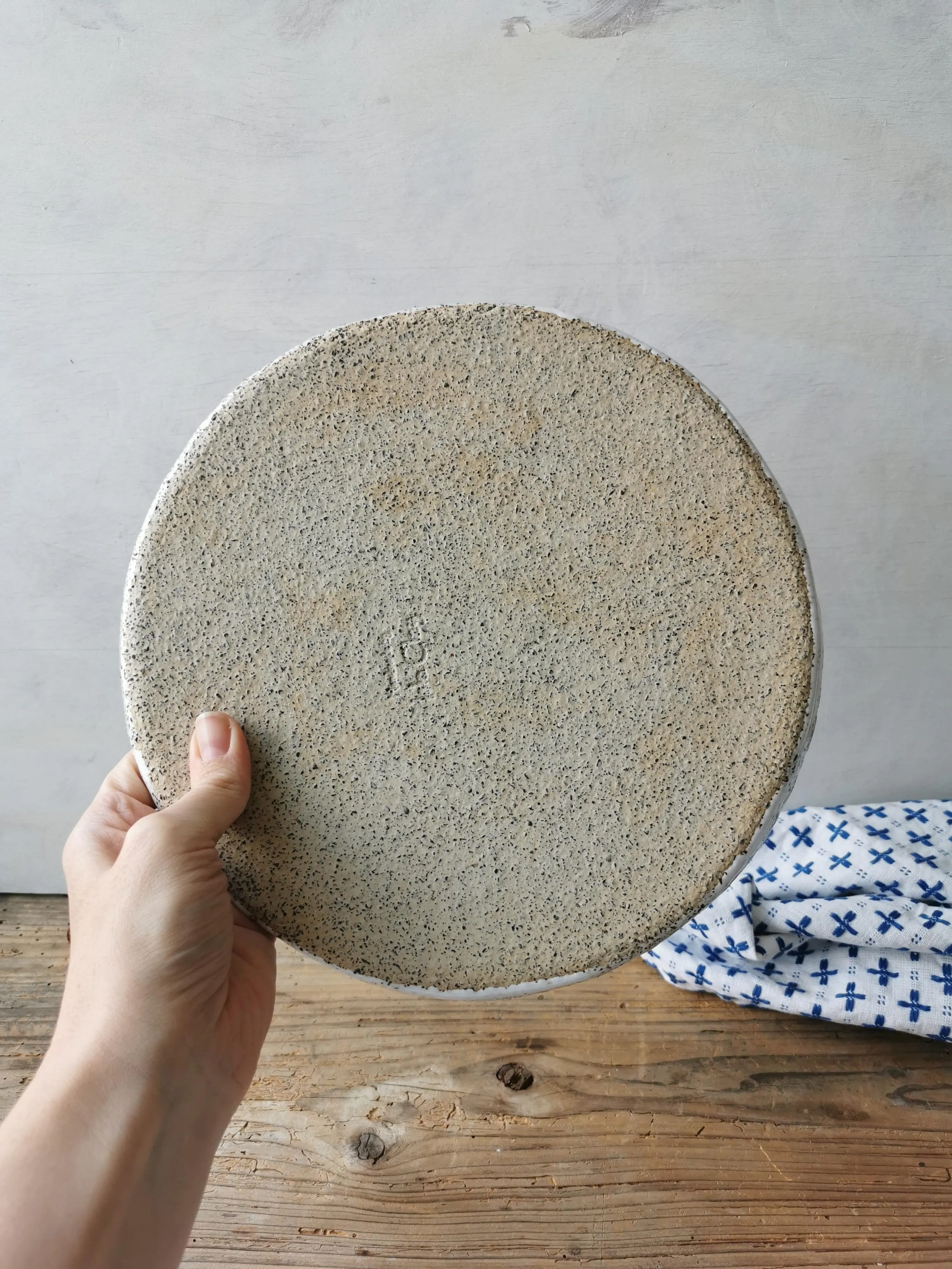 Dinner plate speckled white 11"